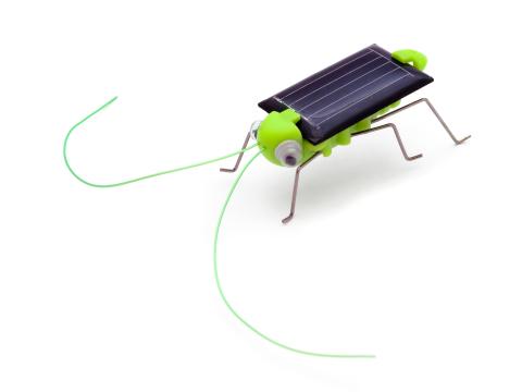 Solar roach