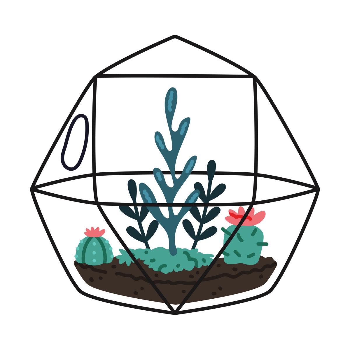 Terrarium